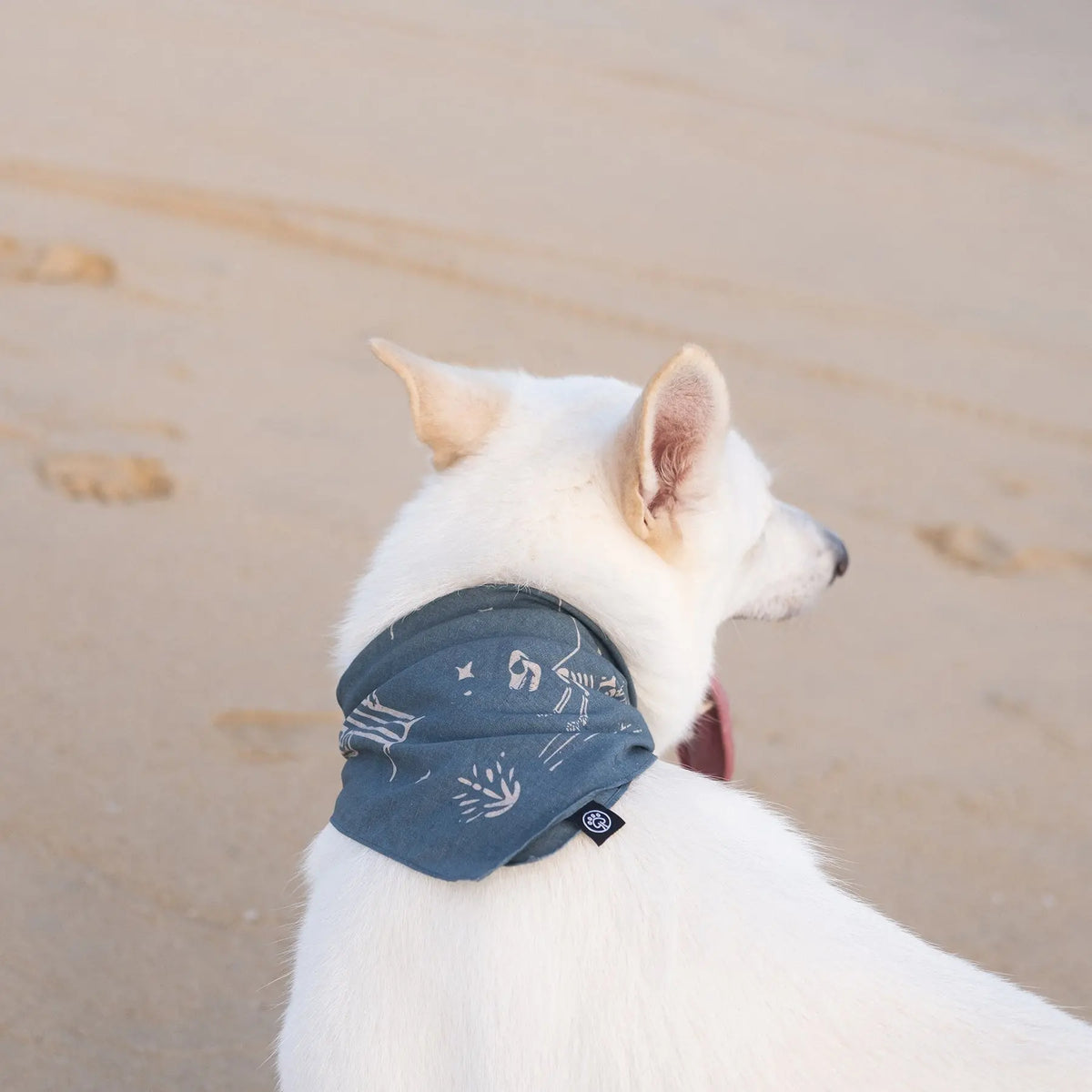 Bandana pour chien Night Patrol Mezkui