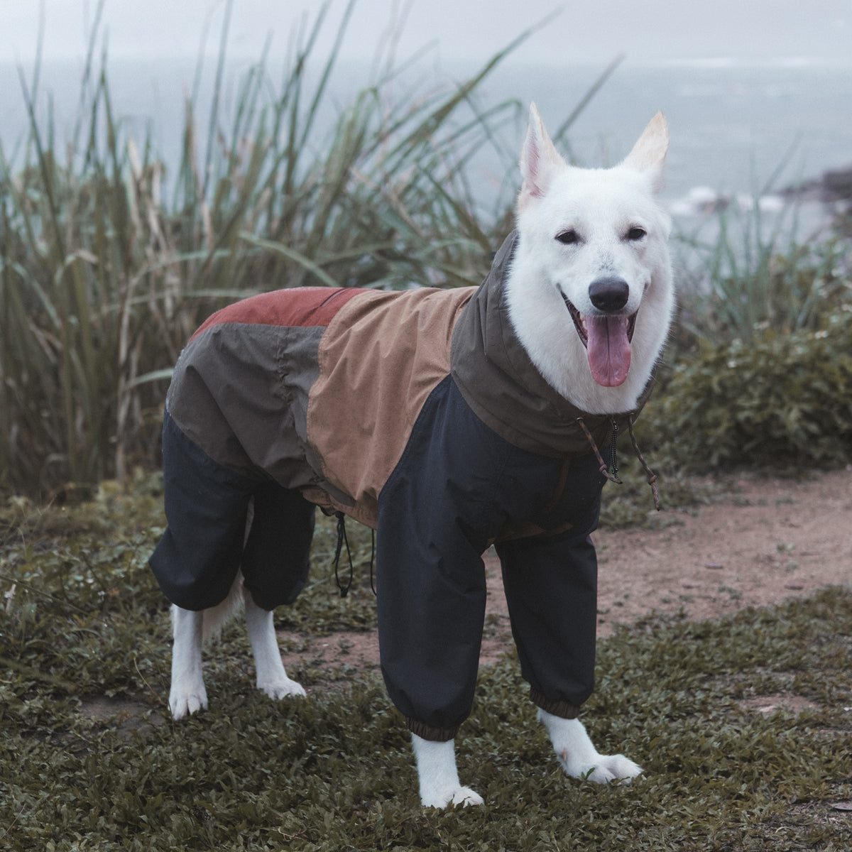 Combinaison imperméable pour chien Horizon Over Mesa Mezkui