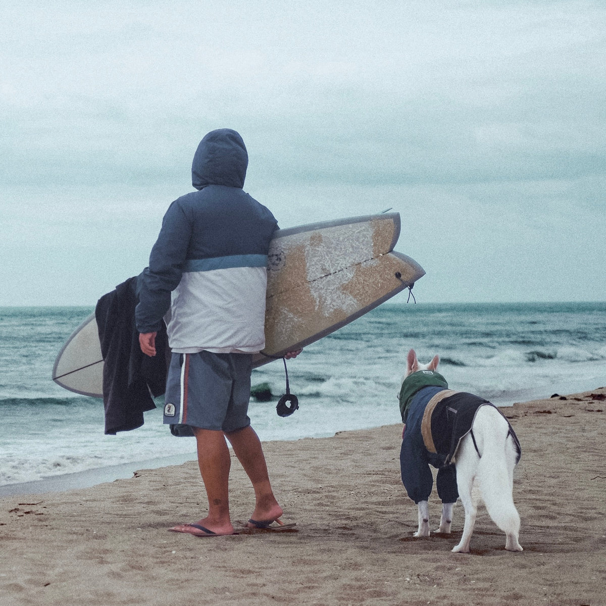 Veste imperméable pour chien Baja Coastline MEZKUI