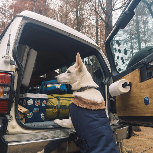 Veste chaude et élégante pour chien avec col doublé de sherpa, gardant les chiens au chaud lors des randonnées et séjours en camping.