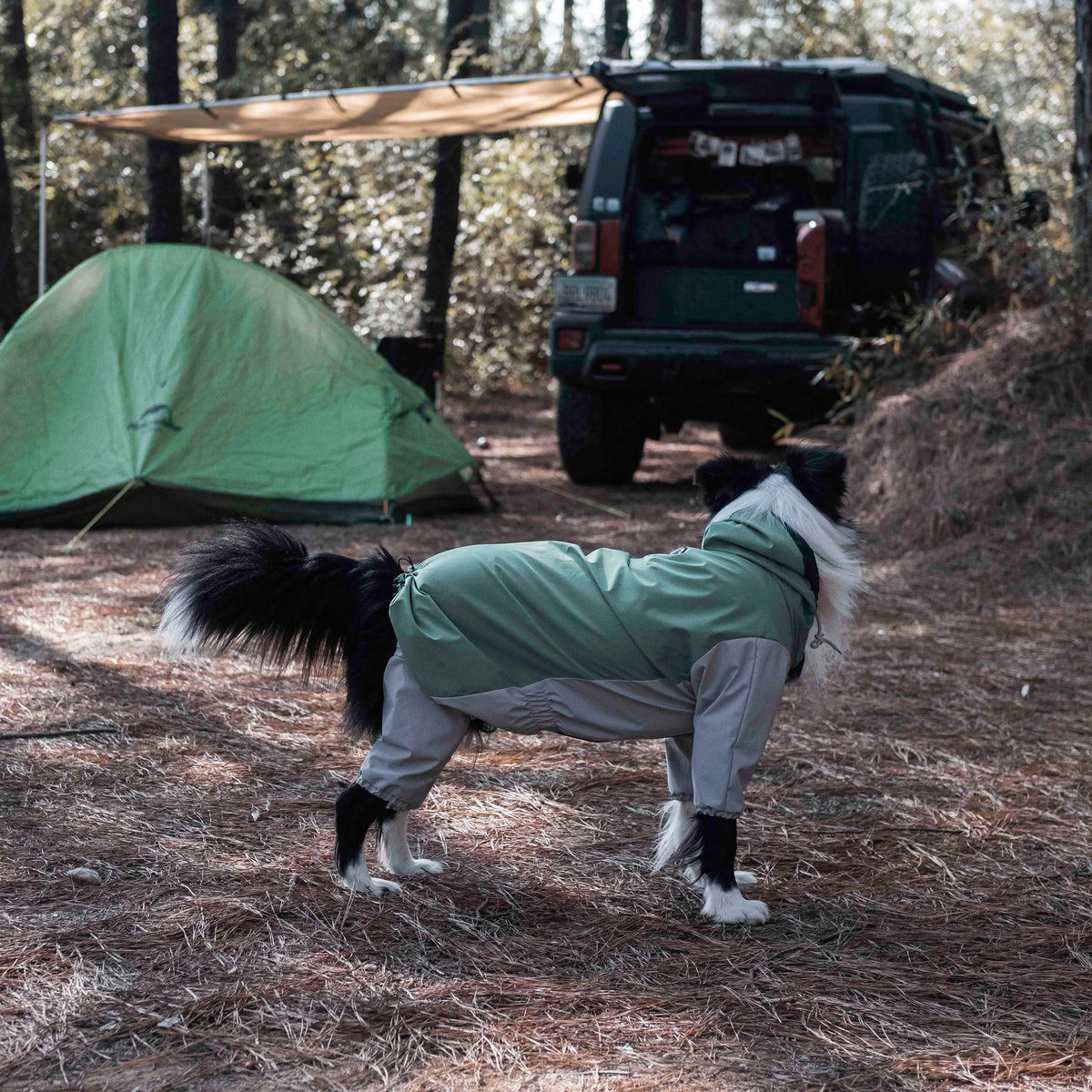 Chien portant un imperméable Havasu dans un camping, avec une tente et un véhicule tout-terrain en arrière-plan, présentant l’équipement d’aventure pour chiens.