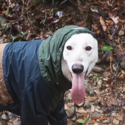 Veste de pluie pour chien Baja Coastline Mezkui