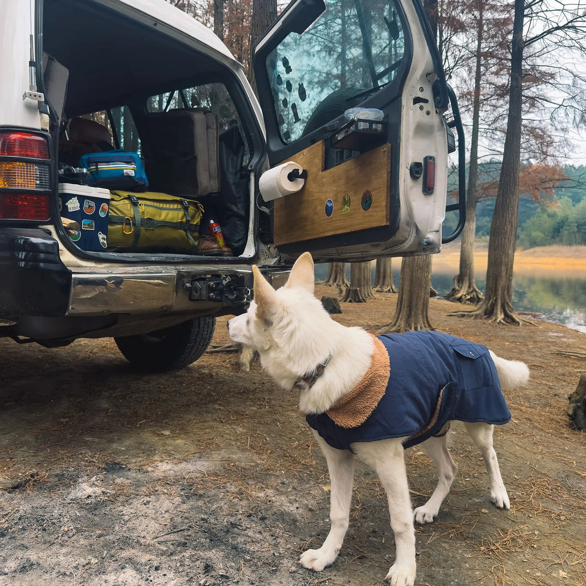 Un chien blanc portant la Sedona Dawn Dog Winter Jacket bleu marine à côté d’un véhicule ouvert dans un campement.