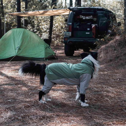 Chien portant un imperméable Havasu dans un camping, avec une tente et un véhicule tout-terrain en arrière-plan, présentant l’équipement d’aventure pour chiens.